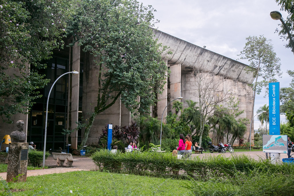 Planejamento, concepção e gerenciamento do site da Biblioteca Central da Universidade de Brasília