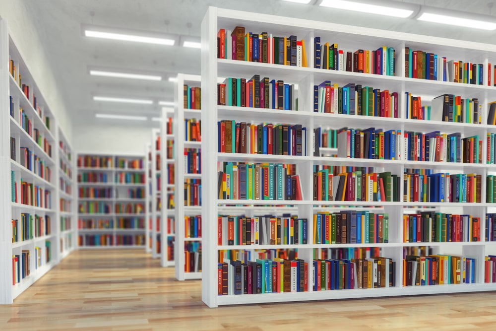 Mercadotecnia, servicios y usuarios de información: reflexiones para bibliotecas